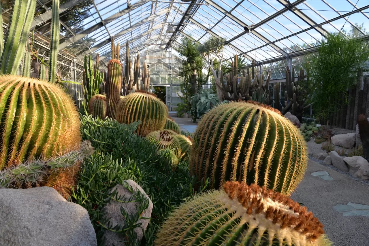 🌺 알로하 가든 다테야마 (아로하 가덴 다테야마) 이미지 4